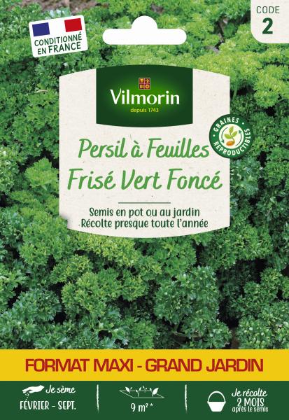 Aromatiques - Persil Frisé Vert Foncé - Grand Modèle - face recto